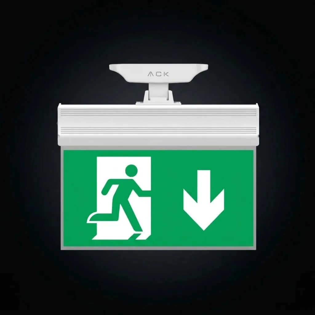 EXIT KOŞAN ADAM AŞAĞI OK