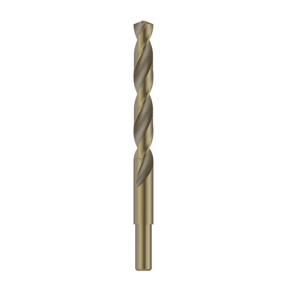 HSS-Co Metal Matkap Ucu 12*151 mm 5'li
