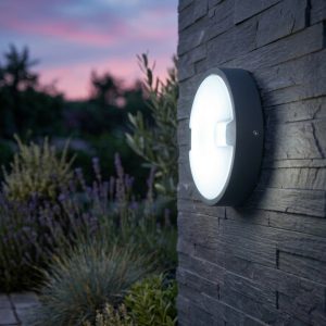 18W LED Oval Duvar ve Tavan Armatürü 6500K (AT10-71831)